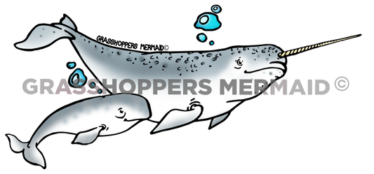 Narwhal Family