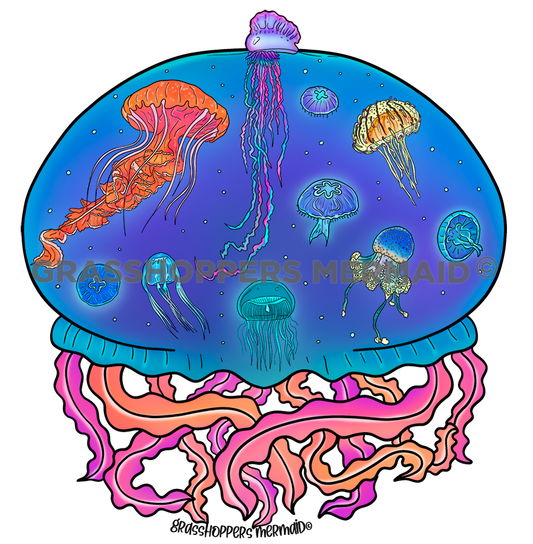 Jellyfish College