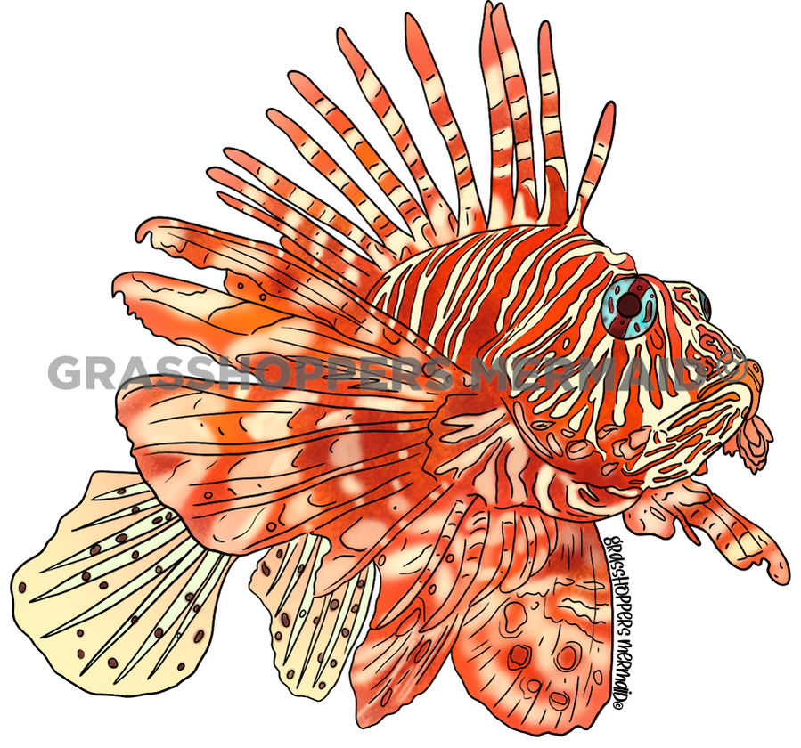 Vibrant Lionfish