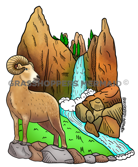 Tower Falls Sheep