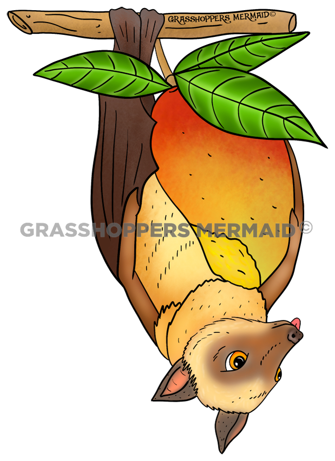 Fruitbat Mango