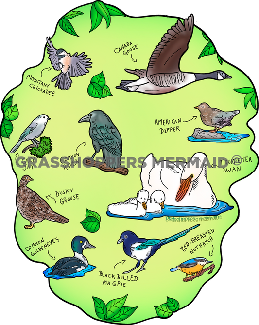 Bird Collage