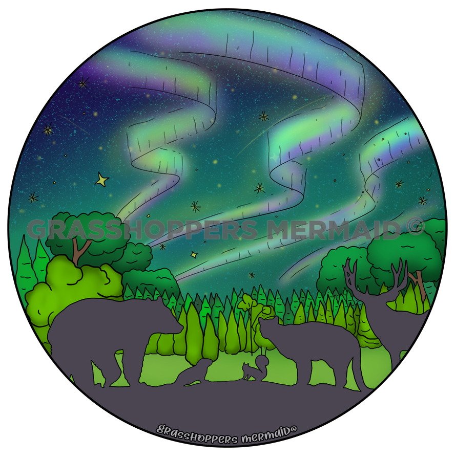 Northern Lights Silhouette