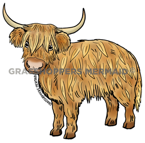 Scottish Highlands Cow