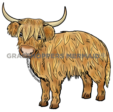 Scottish Highlands Cow