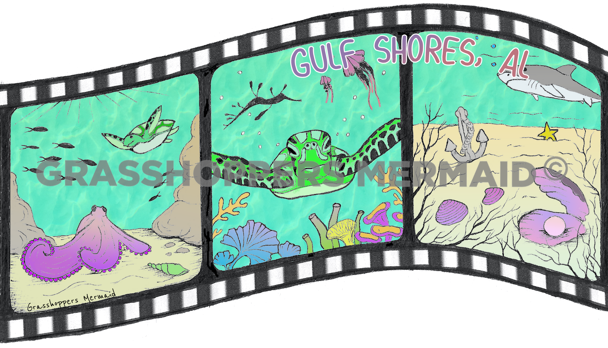 Film Strip