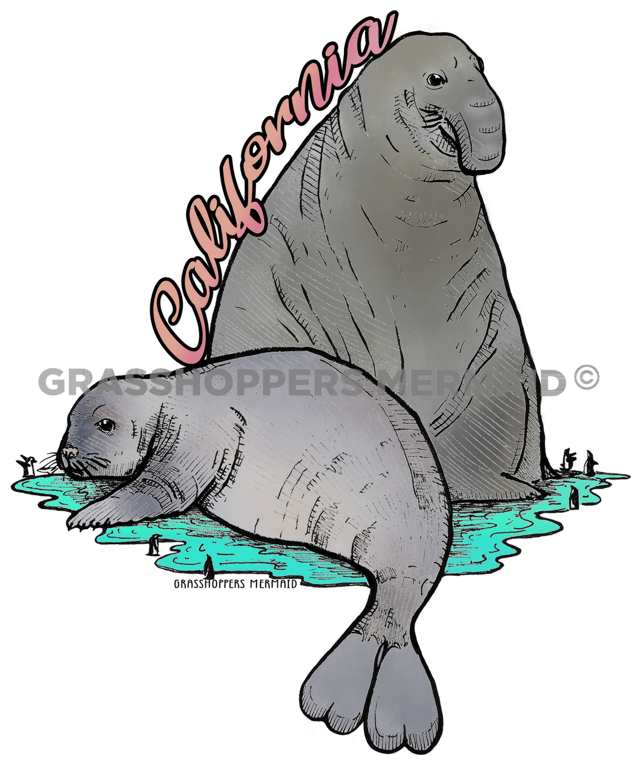 Elephant Seal