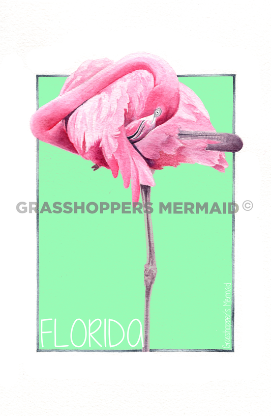 Flamingo