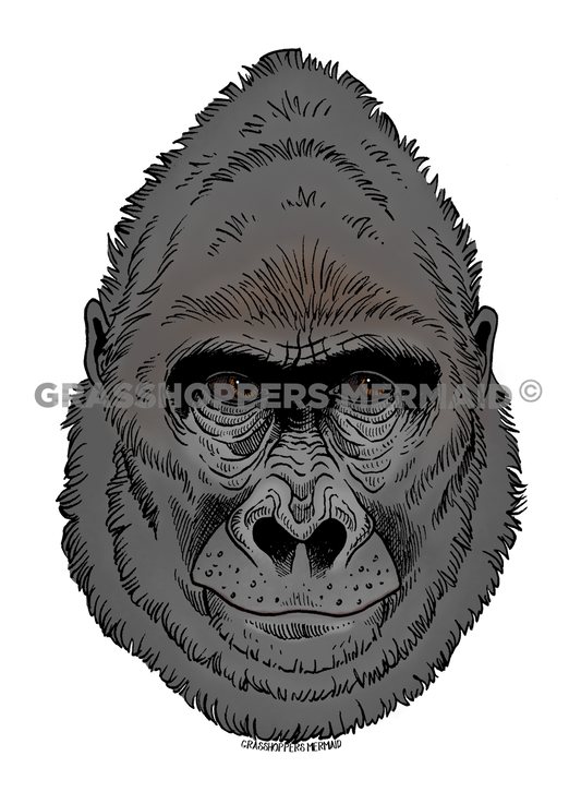 Gorilla Head