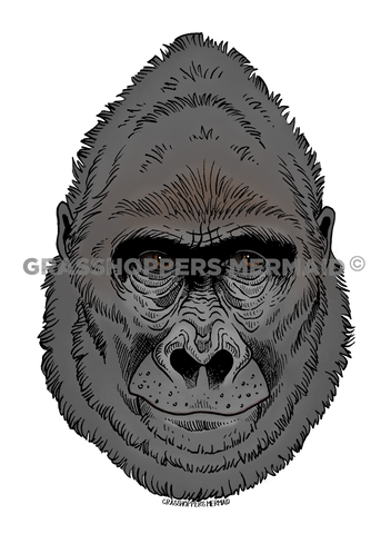 Gorilla Head