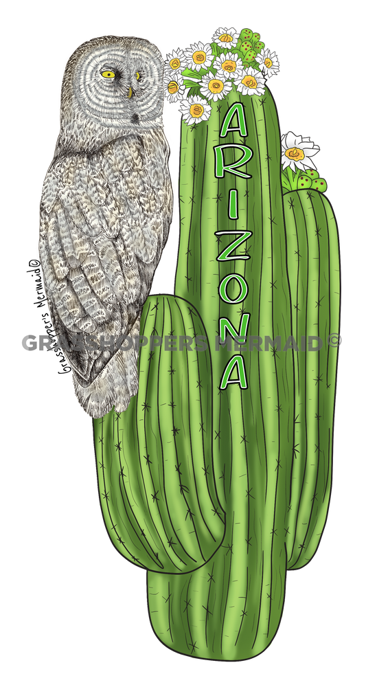 Grey Owl & Cactus