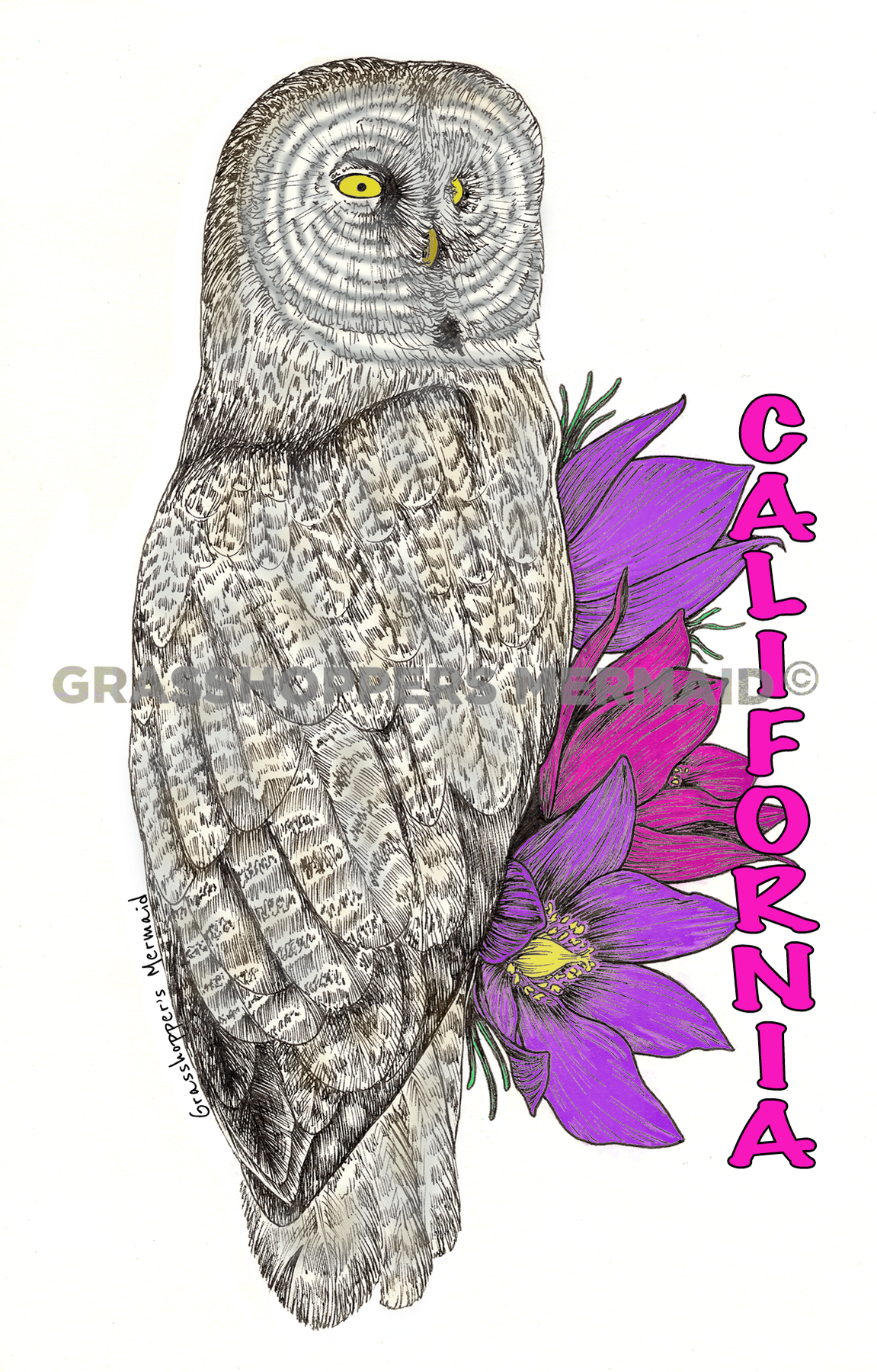 Grey Owl