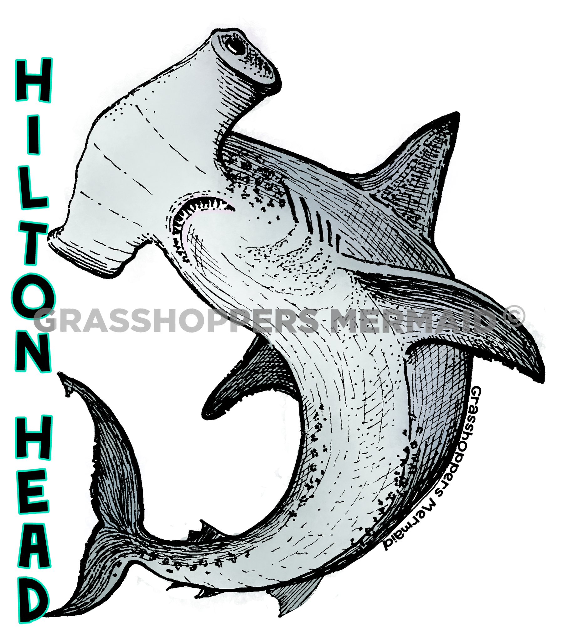 Hammer Head Shark