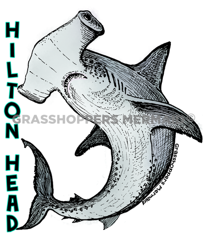 Hammer Head Shark