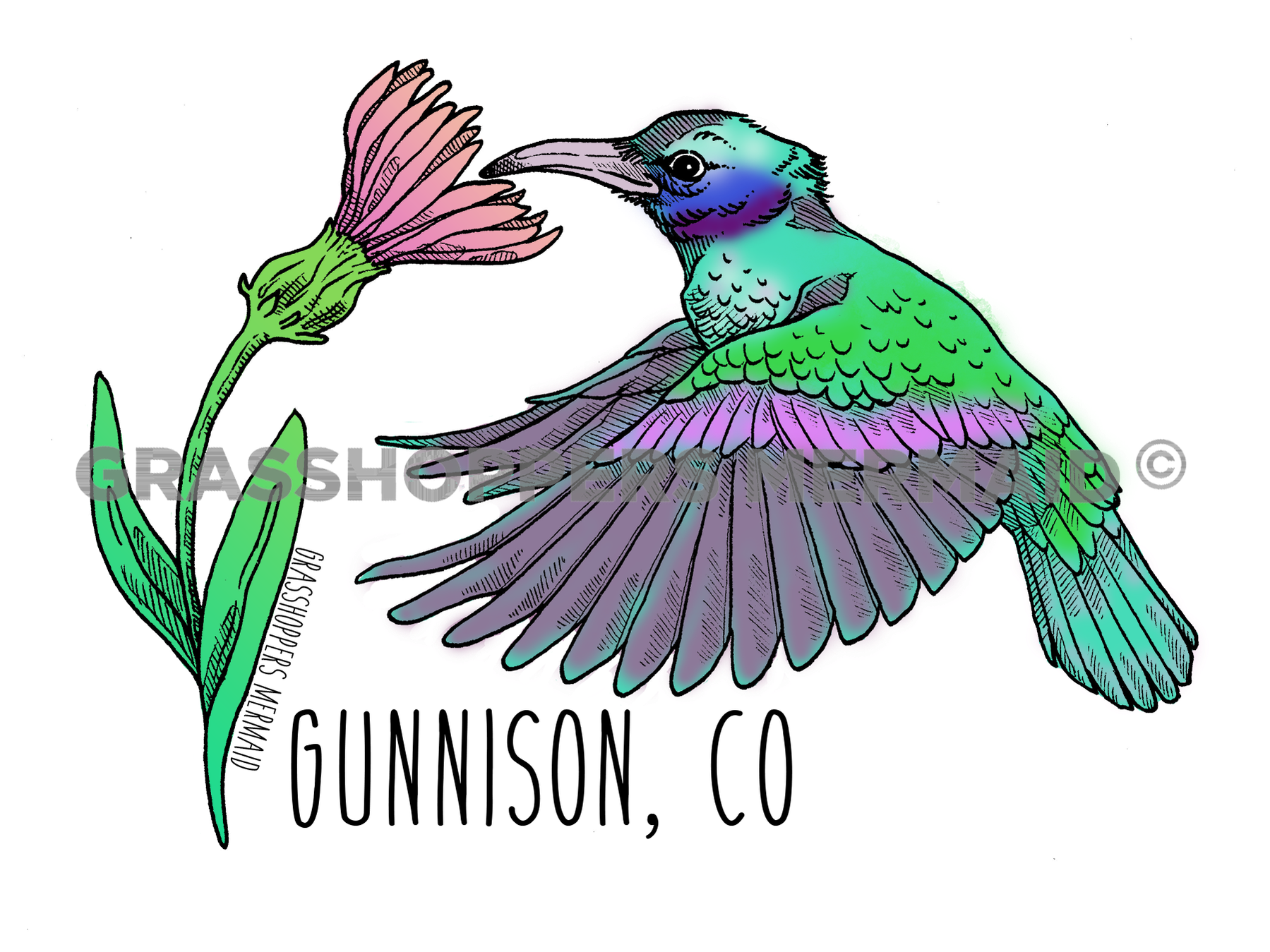Hummingbird