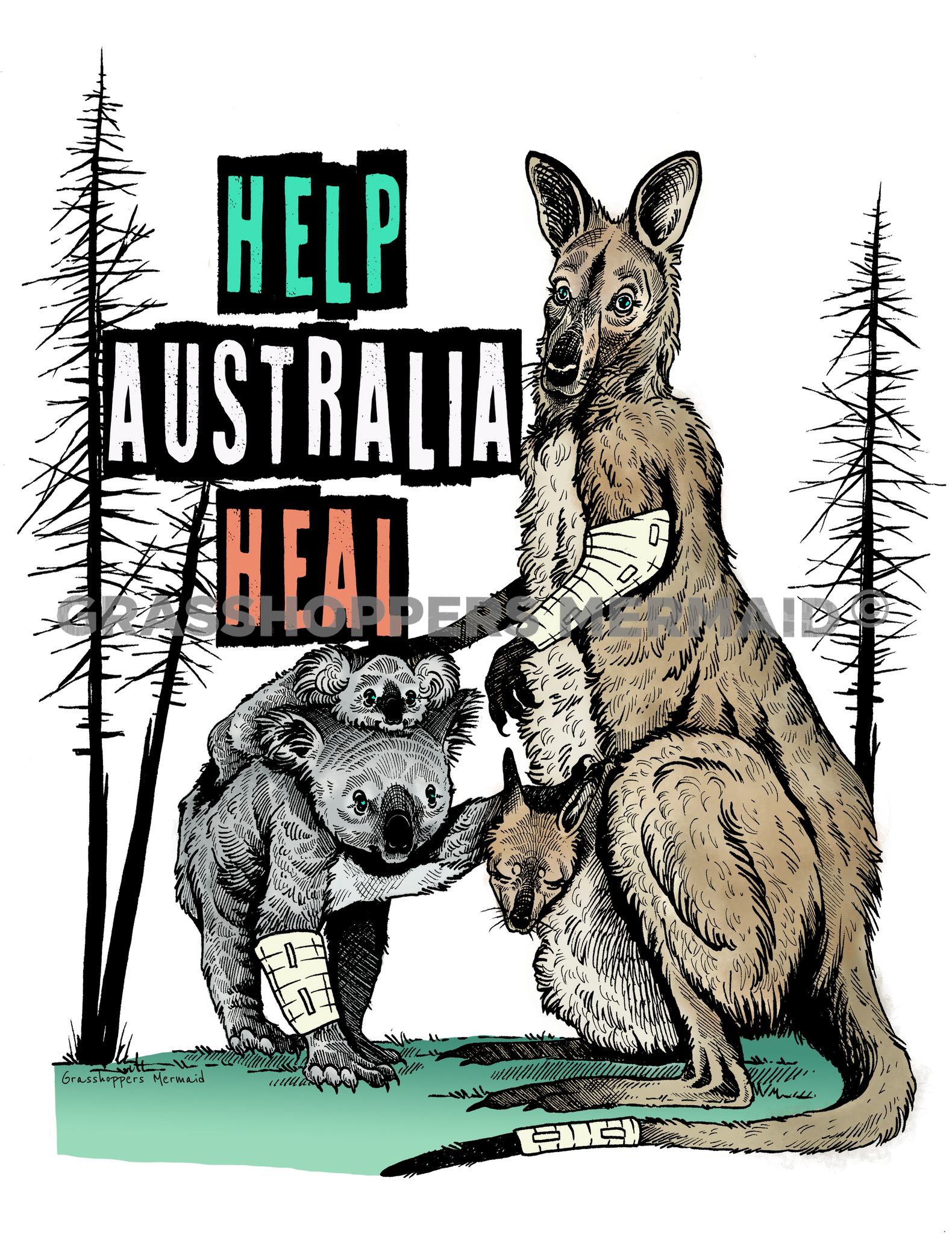Help Australia Heal