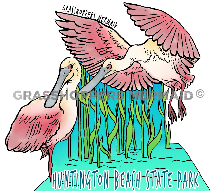 Spoonbills
