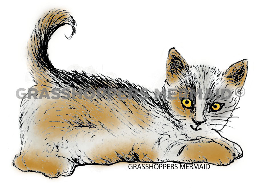 Pounce Cat