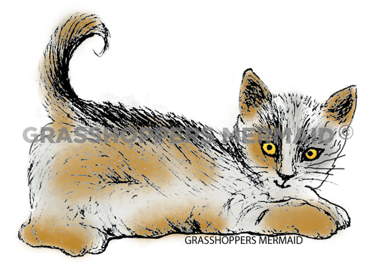 Pounce Cat