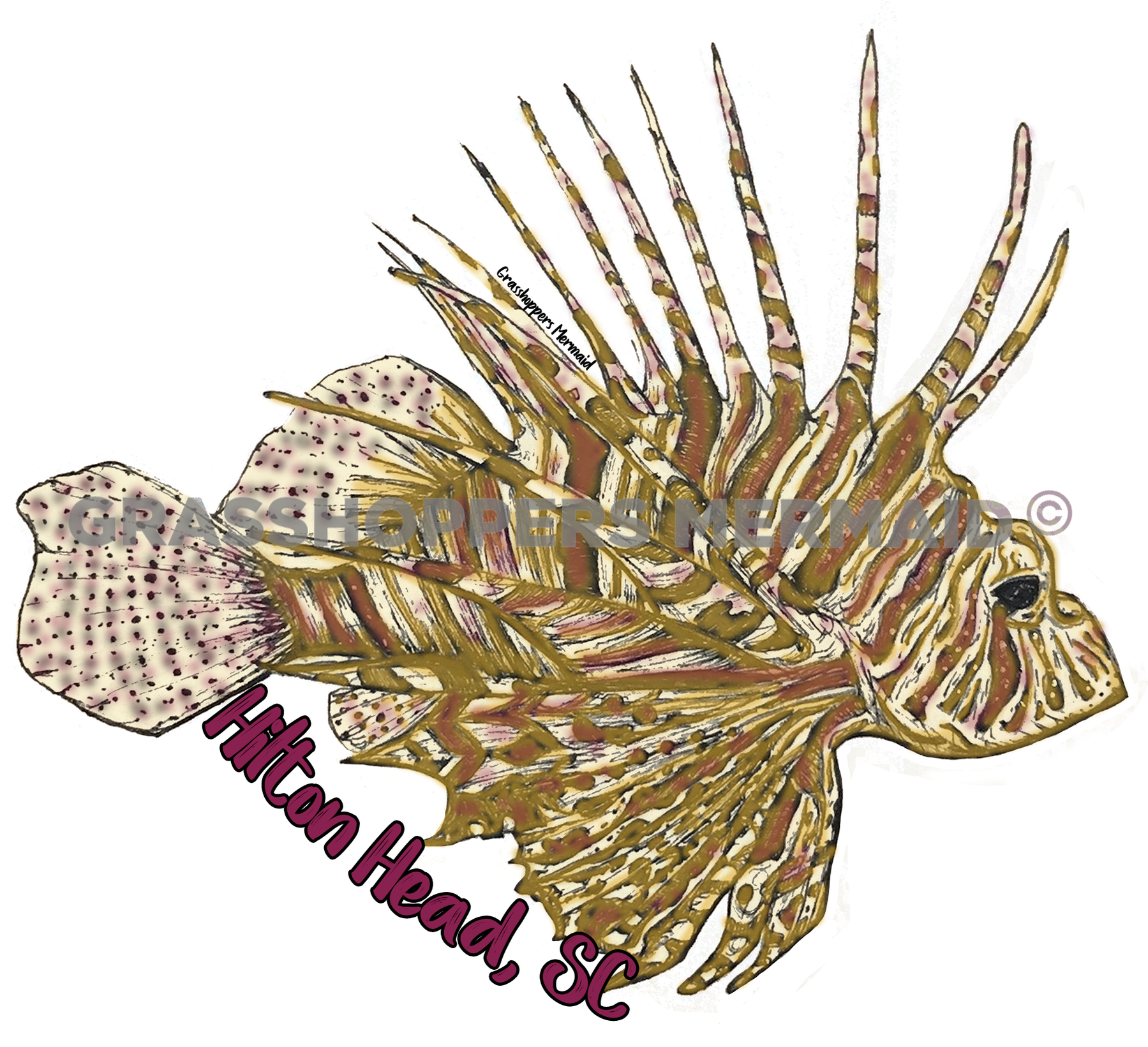 Lionfish