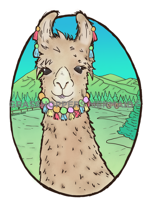 Llama Portrait