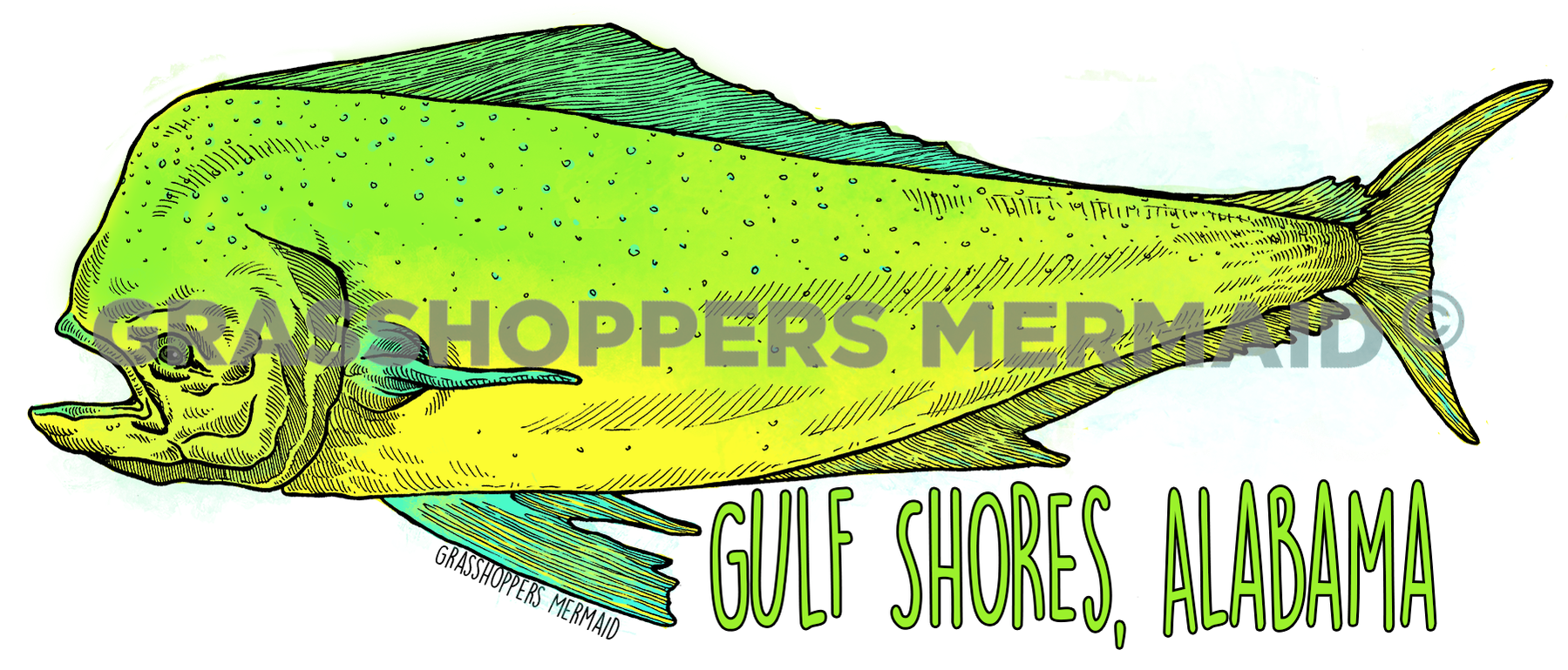 Mahi-Mahi