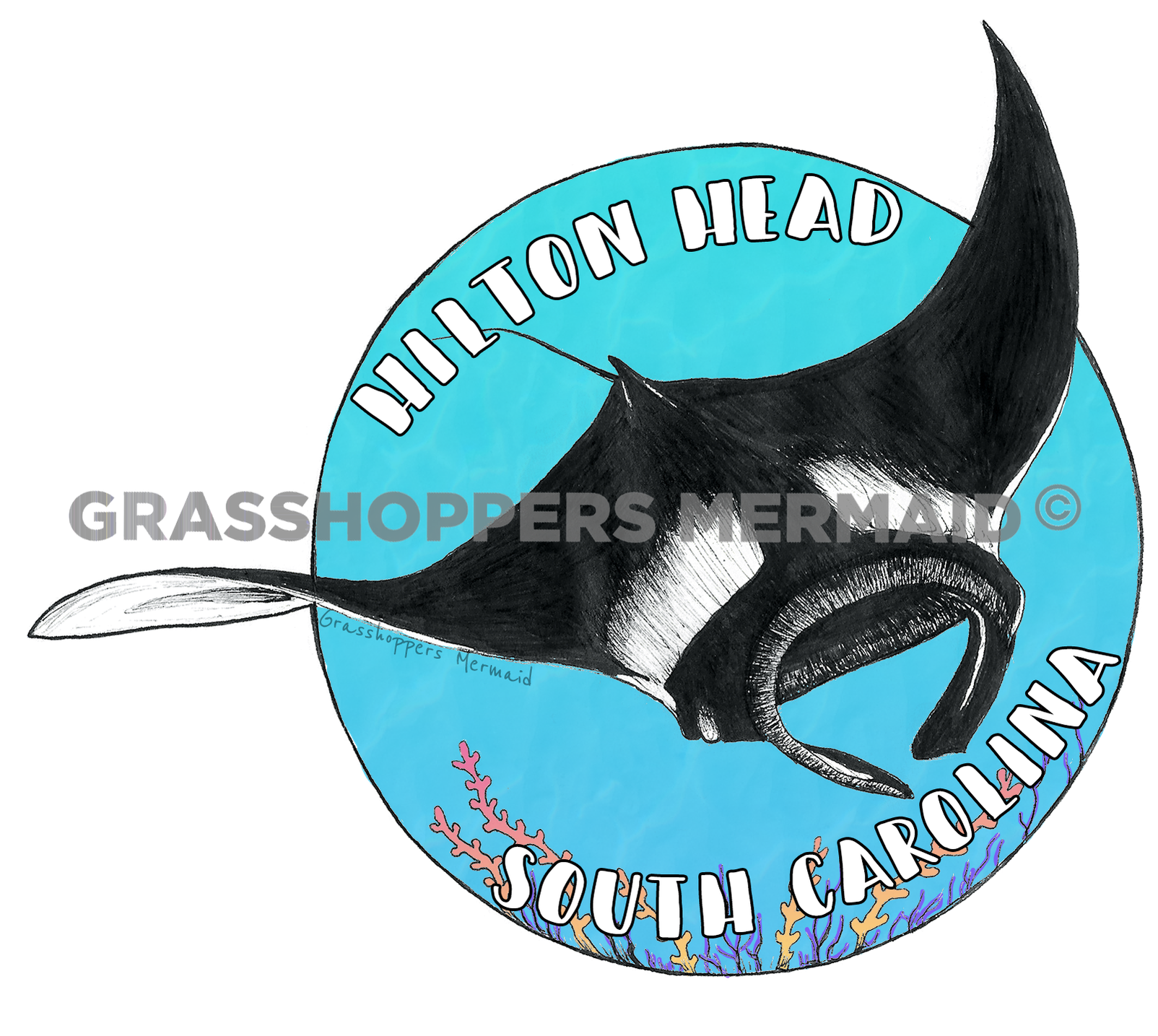 Manta Ray