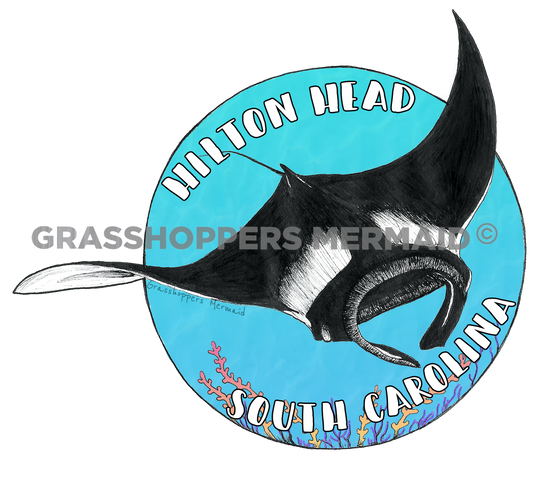 Manta Ray