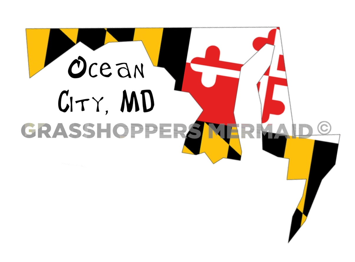 Maryland State & Flag