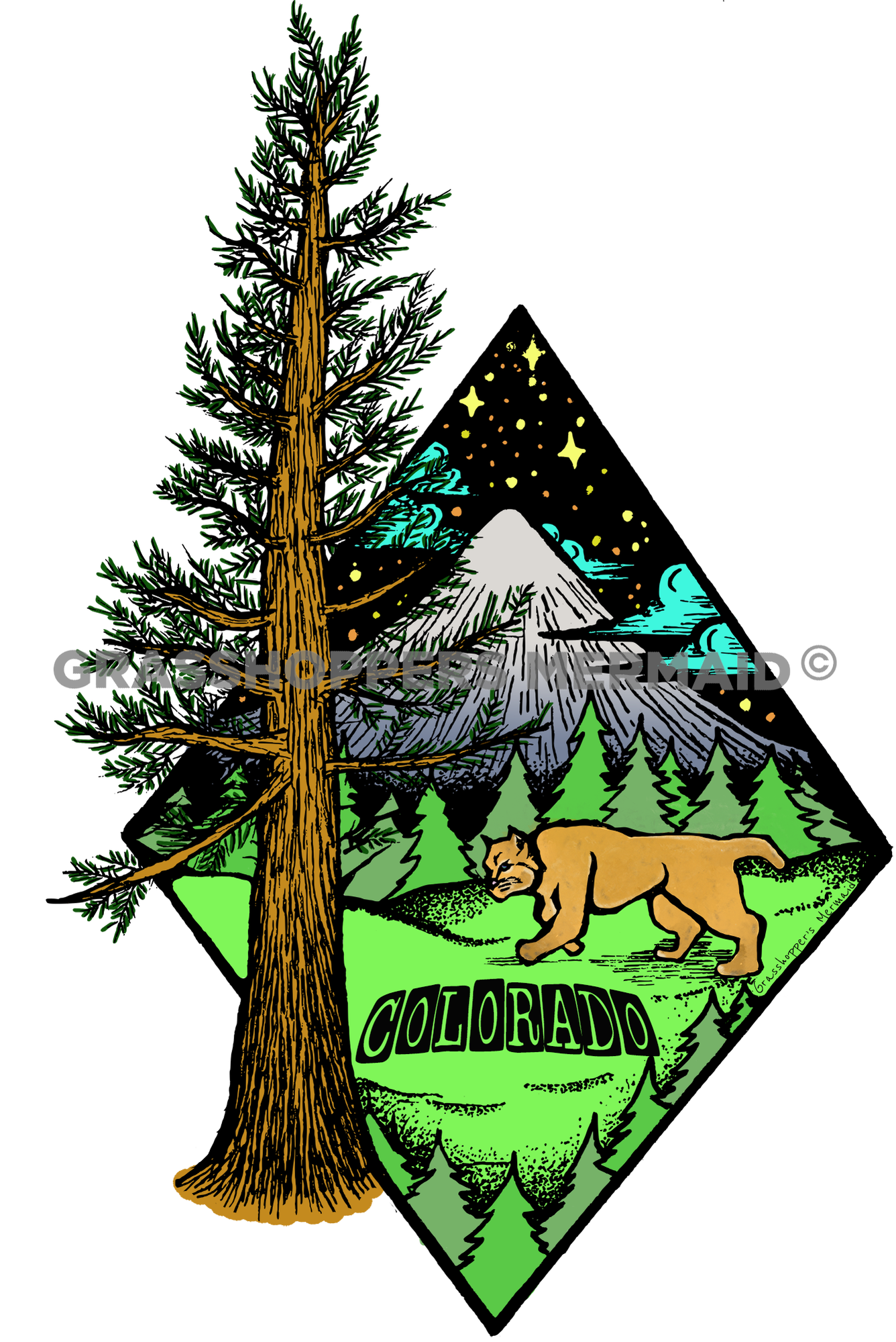 Mountain Lion