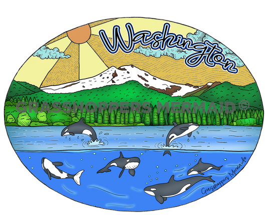 Mt. Baker Orca Pod