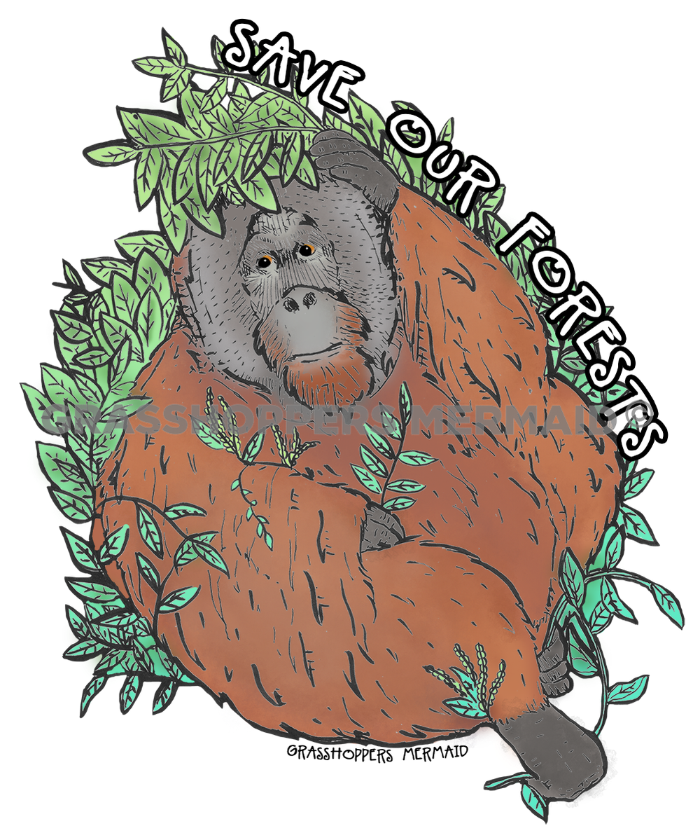 Orangutan