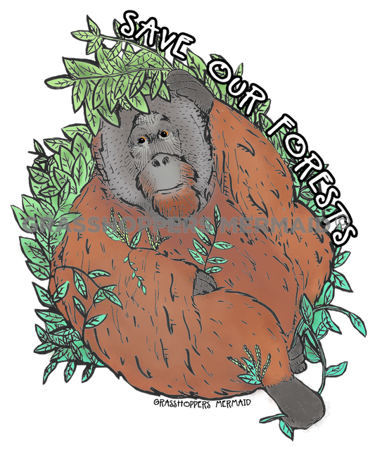 Orangutan