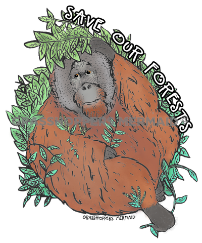 Orangutan