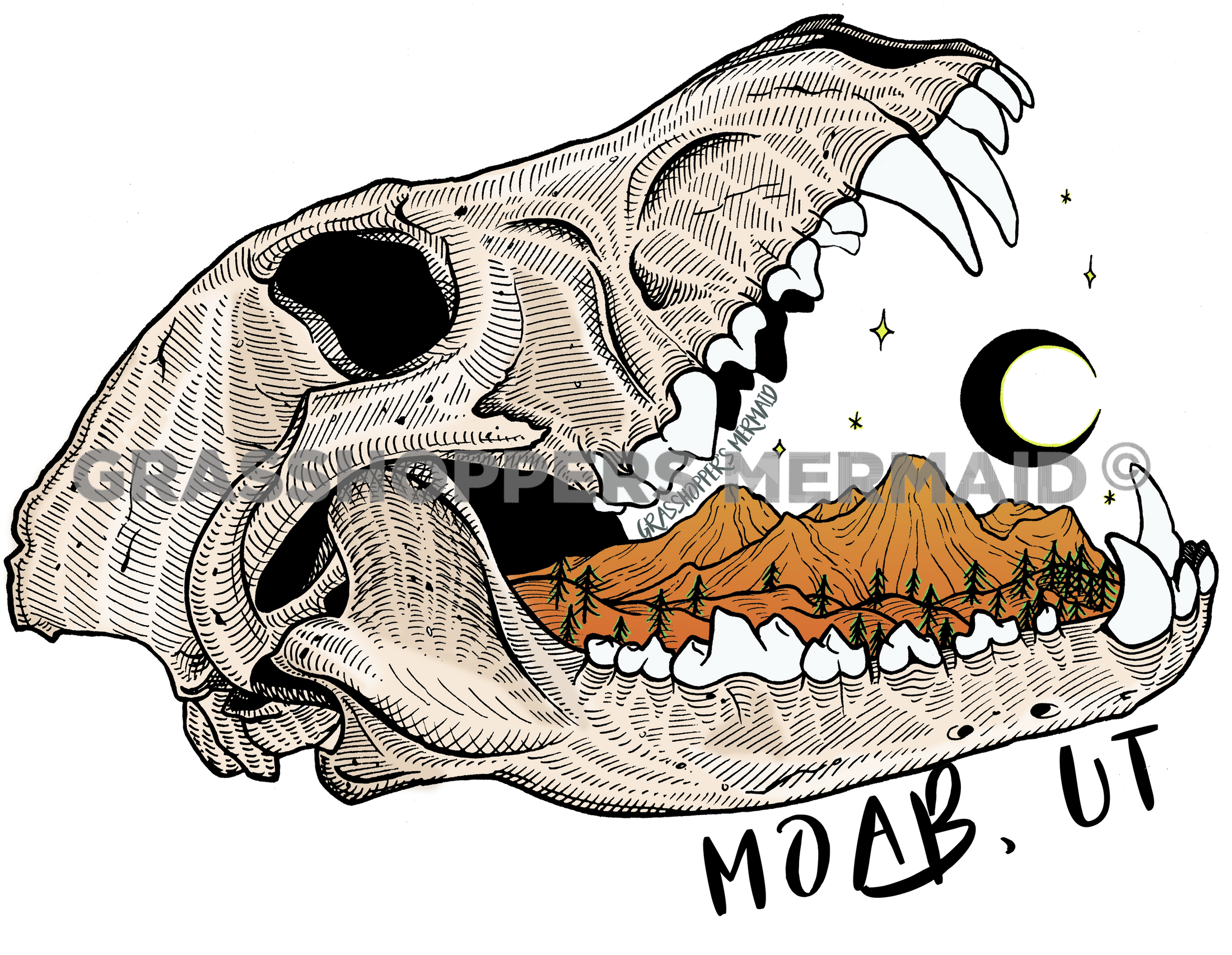 Out of the Ashes Desert