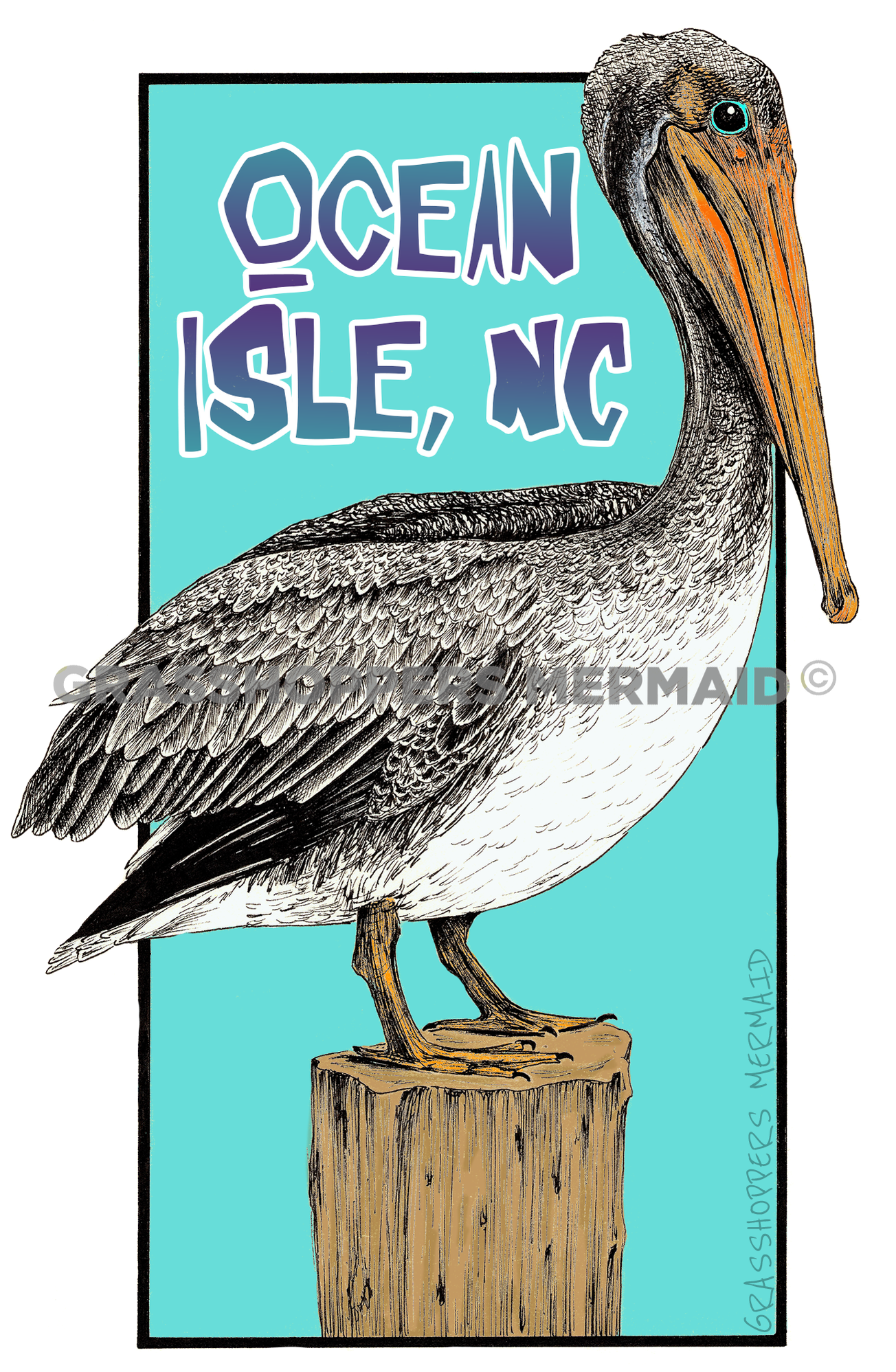 A detailed artistic sticker of a brown pelican with a bright blue eye perched on a wooden post, set against a turquoise background with "Ocean Isle, NC" text.