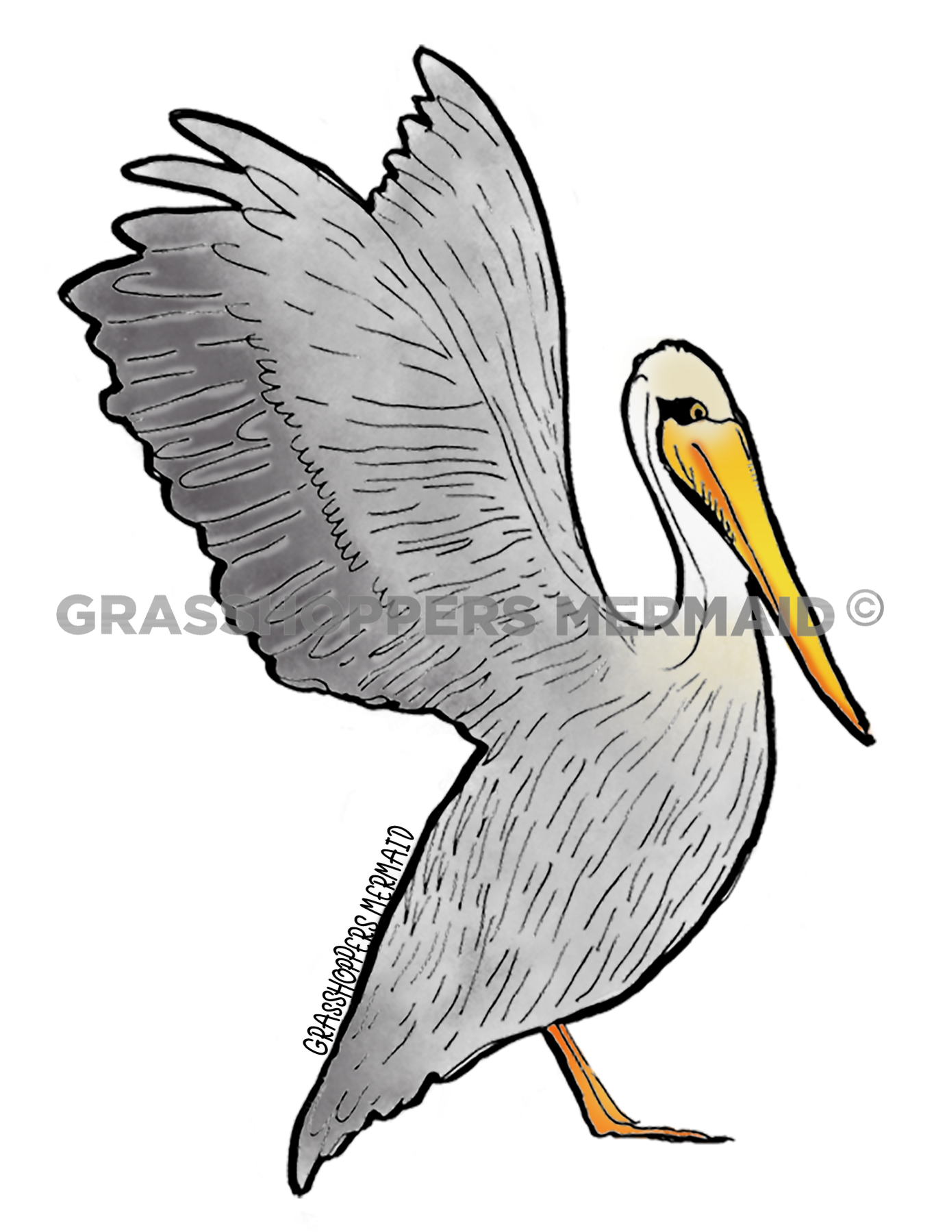 Pelican Takeoff