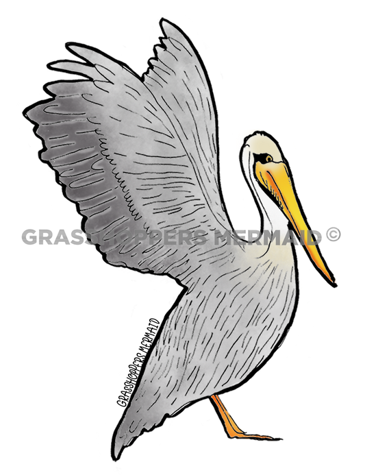 Pelican Takeoff