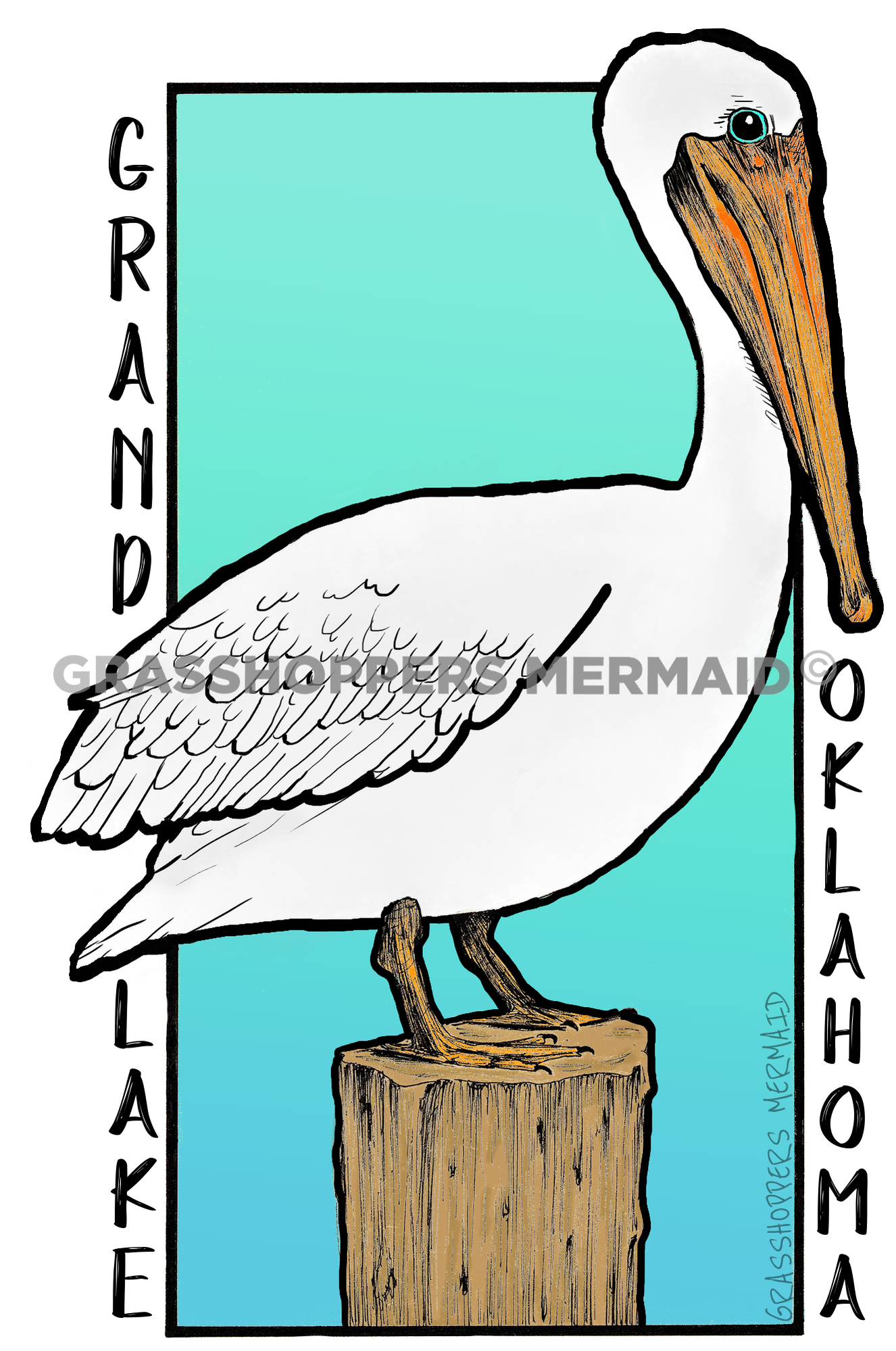 White Pelican