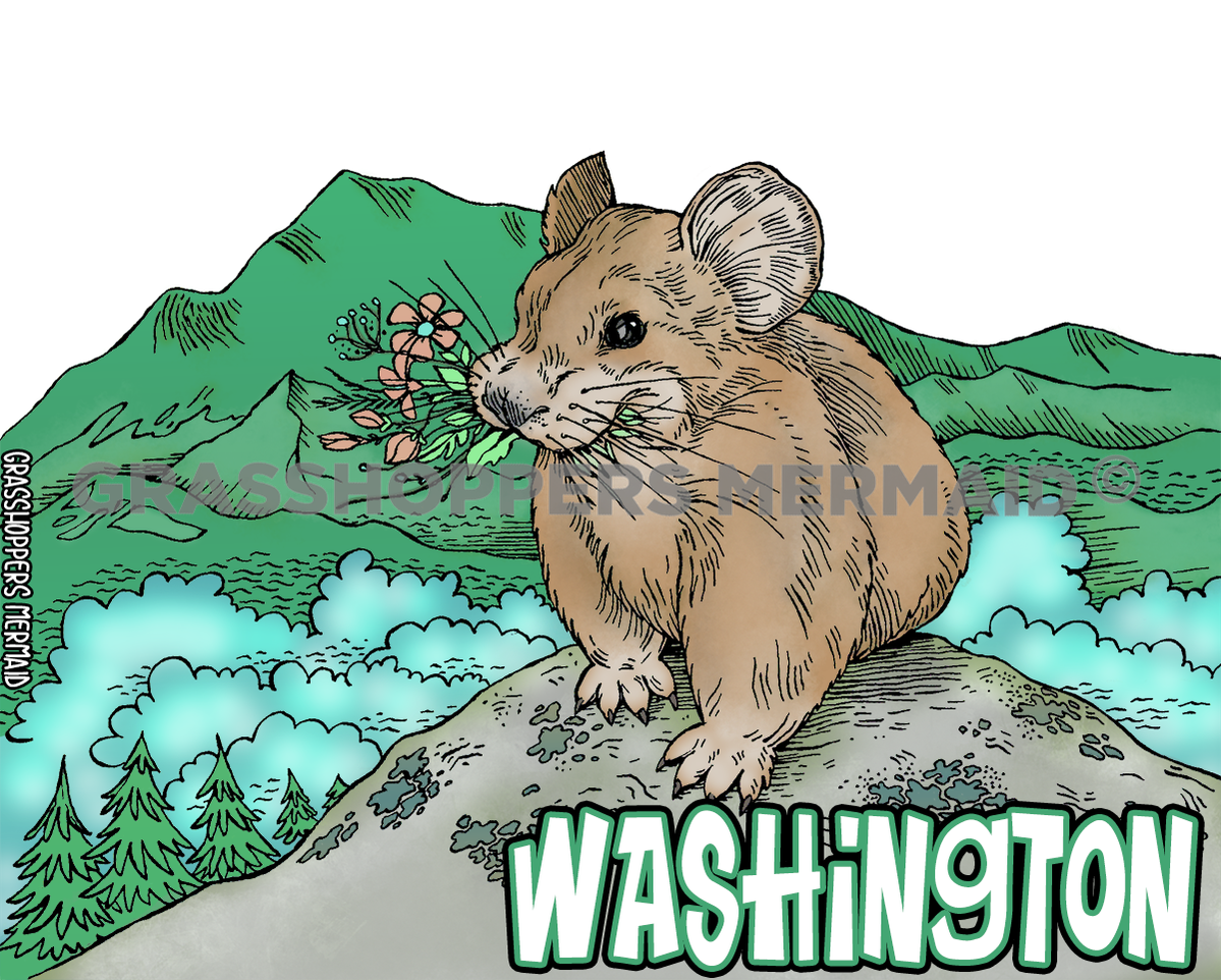 Pikas Snack
