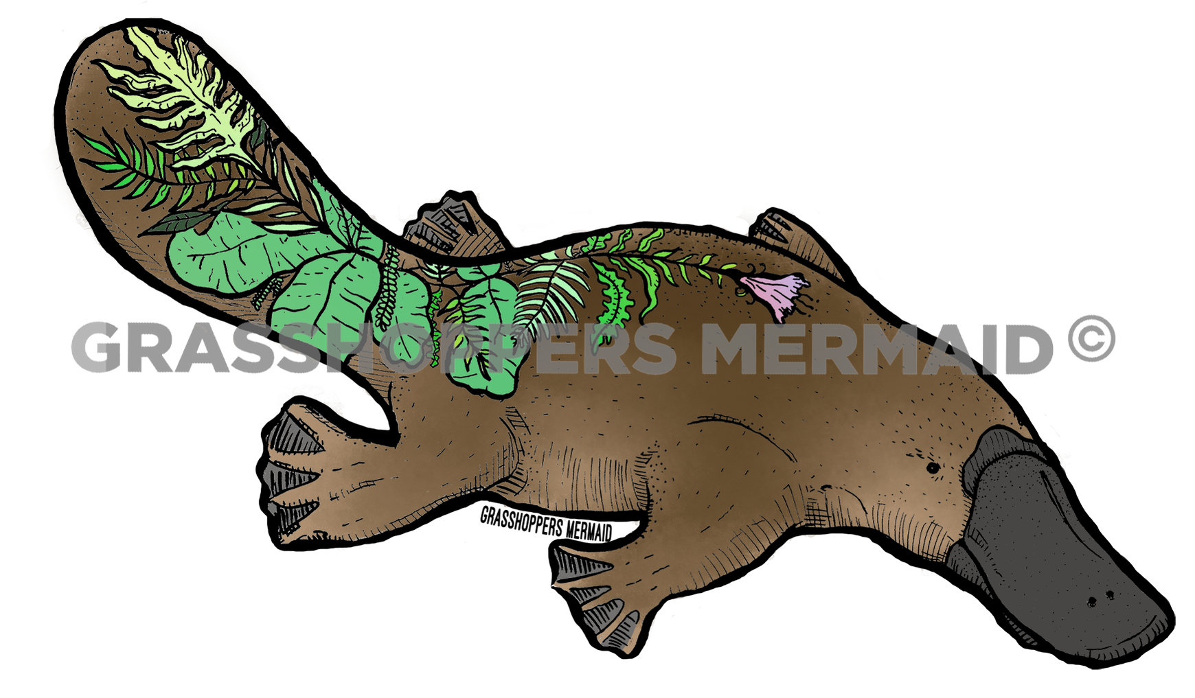 Platypus