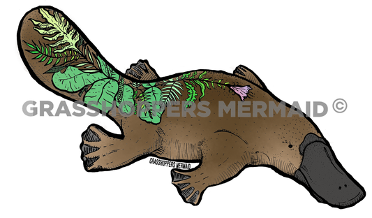 Platypus