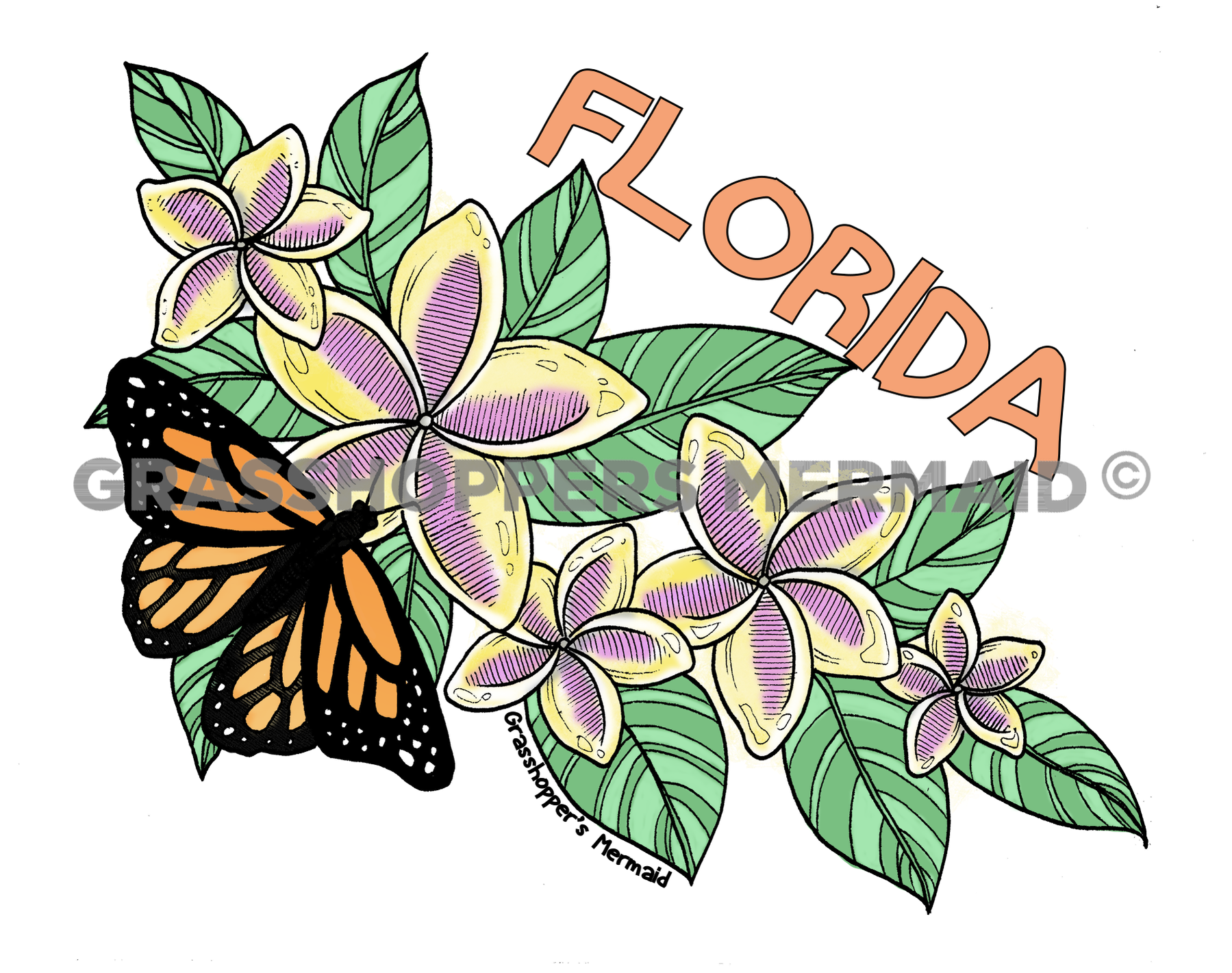 Monarch Plumerias