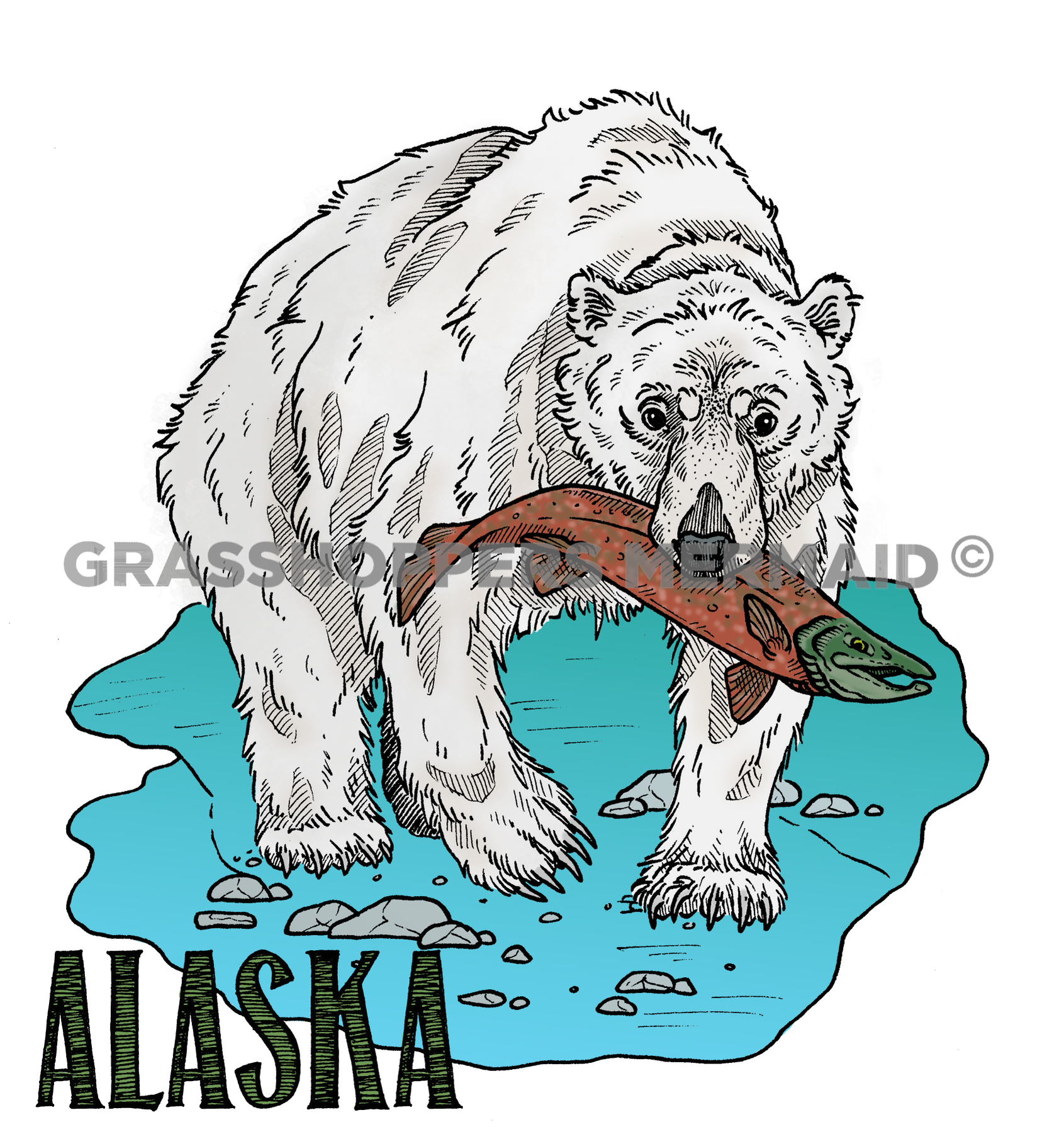 Polar Bear Salmon Catch