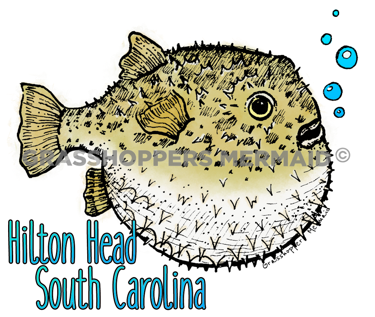 Puffer Fish