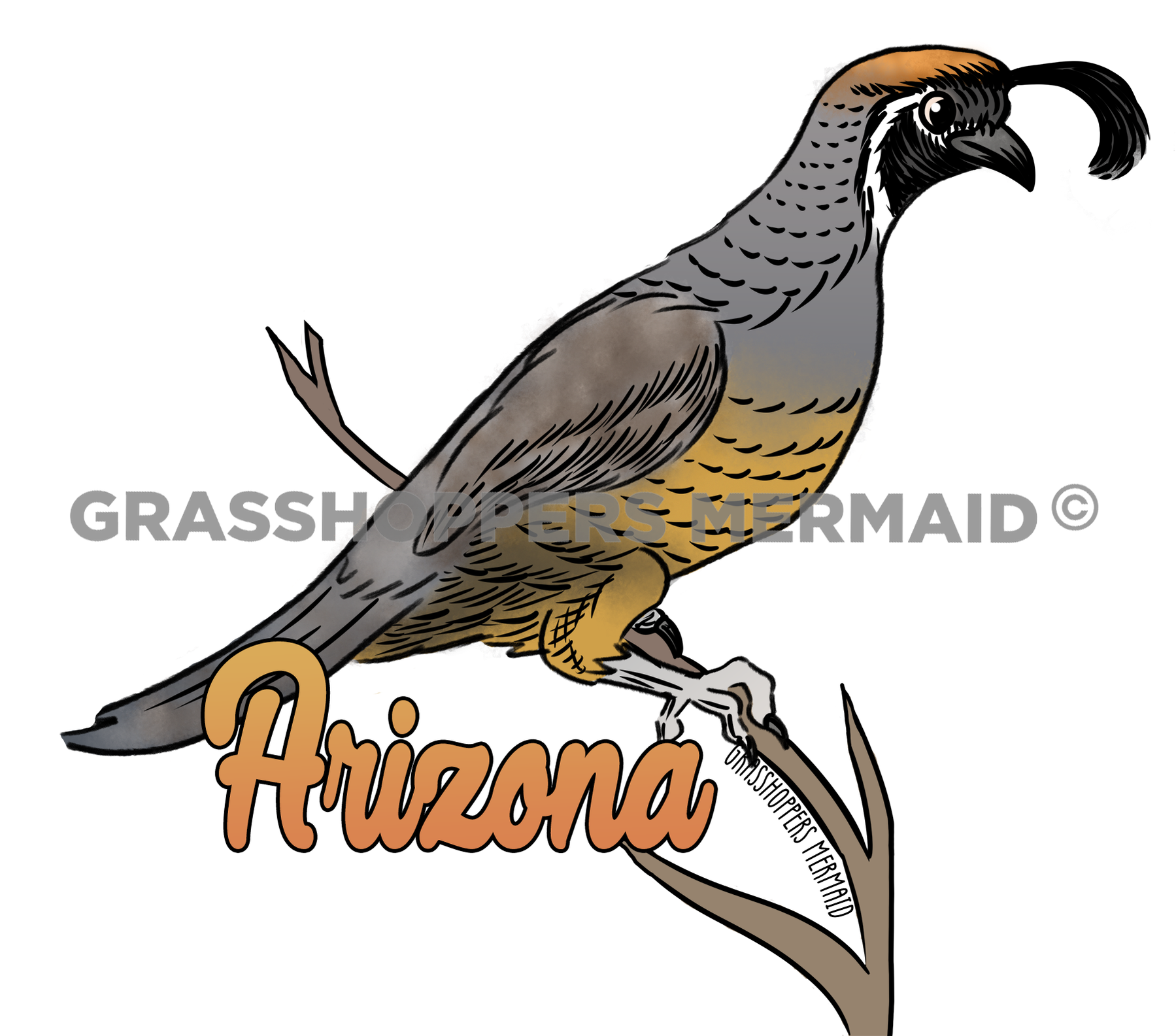 Quail