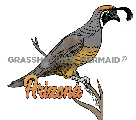 Quail