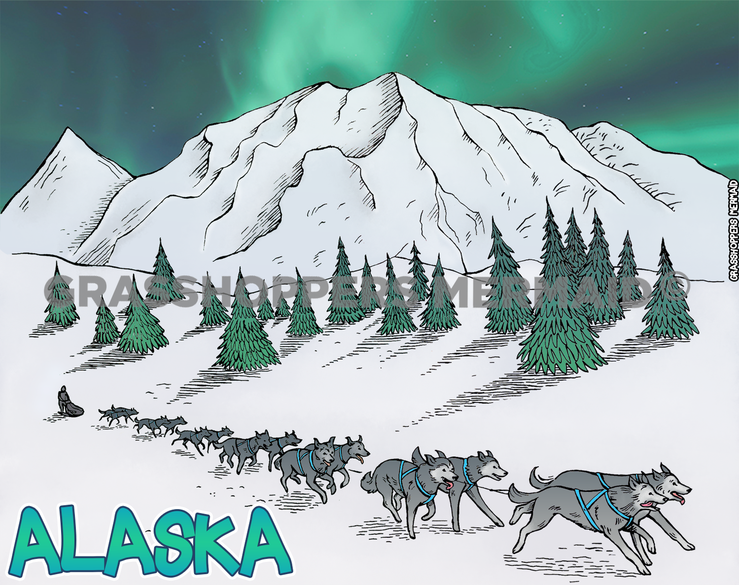 Iditarod Race Night