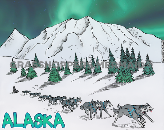 Iditarod Race Night
