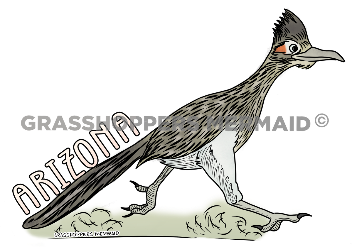 Road Runner